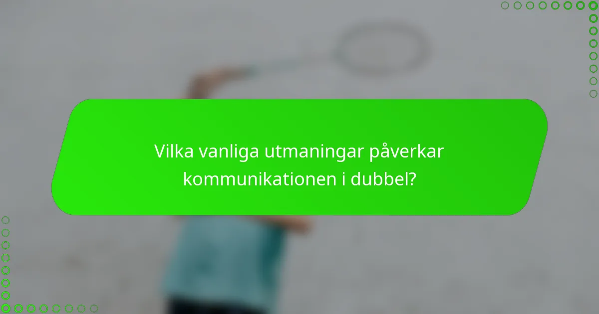 Vilka vanliga utmaningar påverkar kommunikationen i dubbel?